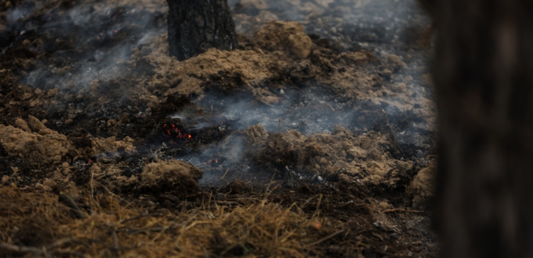 Пожежі на Дніпропетровщині, фото пресслужби Дніпропетровської ОВА