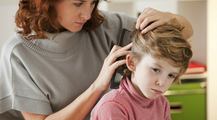 Педикульоз у дитини, фото з відкритих джерел