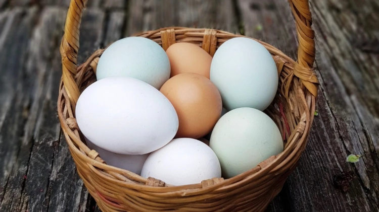 Секрети ідеальних крашанок: від вибору до варіння - фото з відкритих джерел