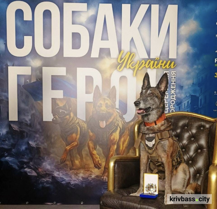 Фото Лариси Борисенко