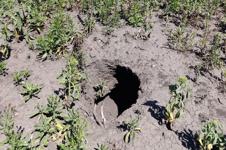 Фото Метеостанція у Великій Олександрівці