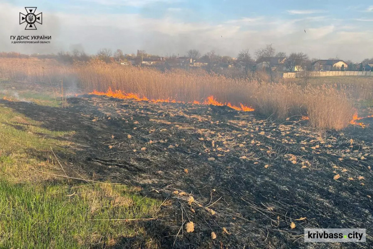 Горить і палає: за добу вогнеборці ліквідували 48 пожеж в екосистемах Дніпропетровщини