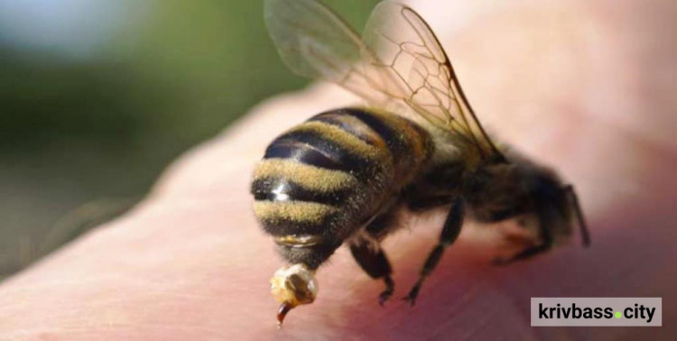 фото з відкритих джерел 