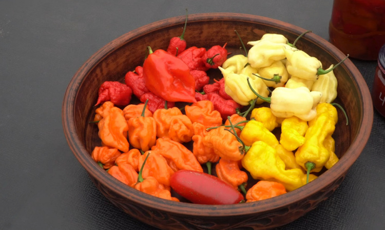 Перці - скриншот відео Суспільне Дніпро