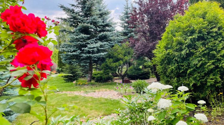 Як створити сенсорний простір, що дарує спокій і надихає - фото з відкритих джерел