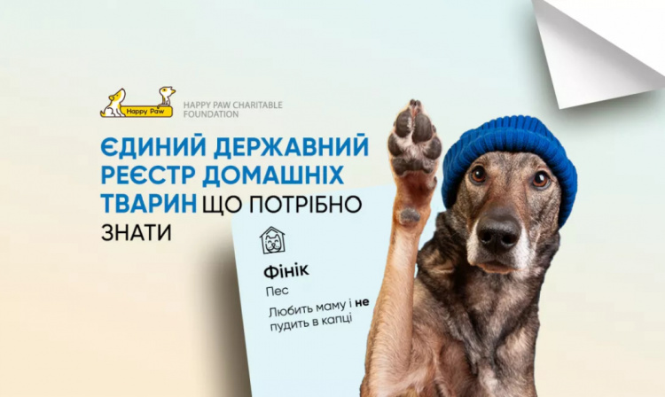 Реєстр домашніх тварин - фото ілюстративне з відкритих джерел