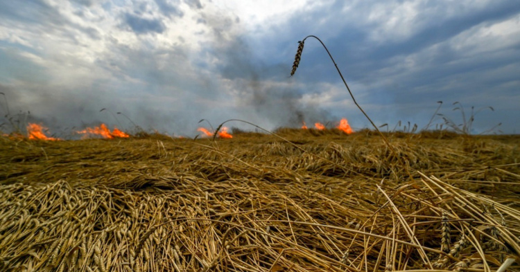 Фото з відкритих джерел