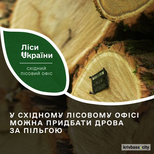 Фото Східного лісового офісу