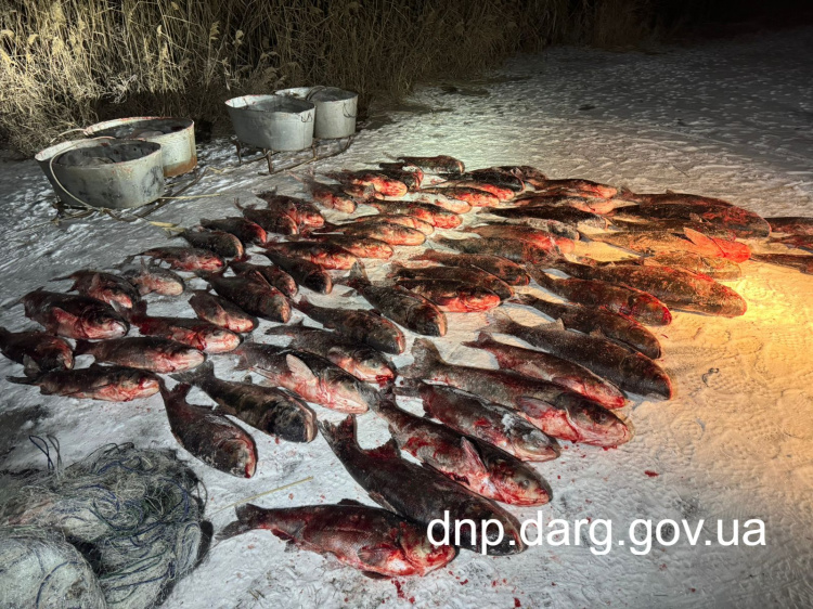 Незаконний нічний вилов на сотні тисяч: на Криворіжжі викрили браконьєра 