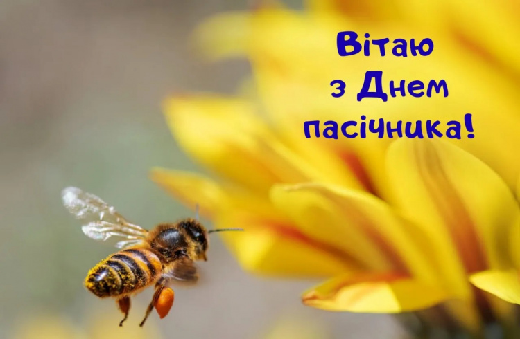 Свято меду та бджіл: коли відзначають День пасічника у 2026 році - фото з відкритих джерел