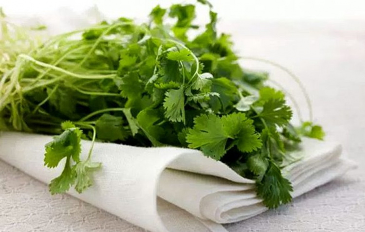 Кінза для серця та смаку: як додавати у страви - фото з відкритих джерел
