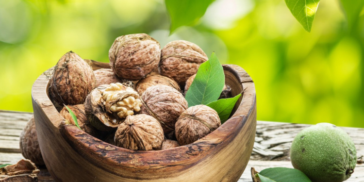 Волоські горіхи - фото з відкритих джерел