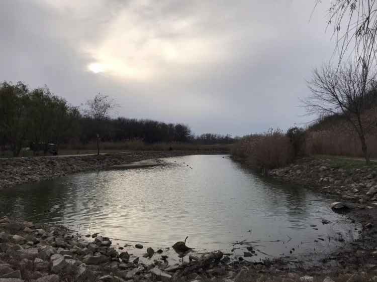 Фото з відкритих джерел     