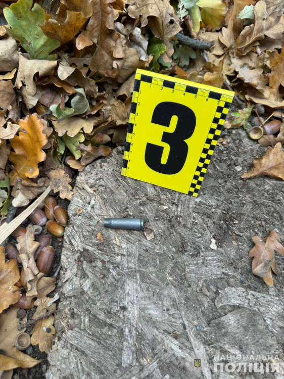 Вбивство чи самогубство: криворізька тарологиня провела розслідування загибелі Дмитра Шевчика