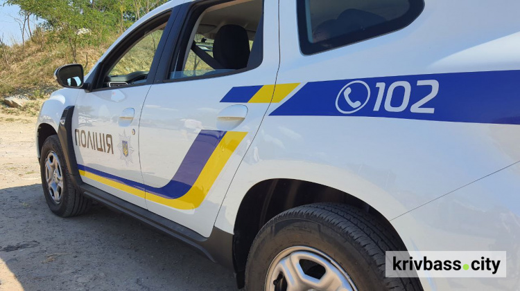 У Кривому Розі на світанку мешканці Зарічного чули постріли: що відомо про хуліганів