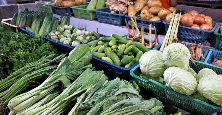 В Україні виникли проблеми з постачанням ранніх овочів через тимчасову окупацію південних областей