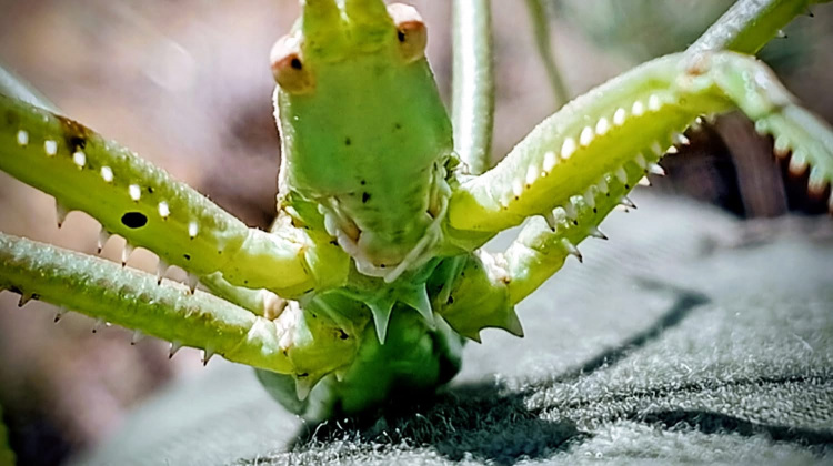 Фото Світлани Кияк