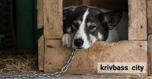 фото з відкритих джерел