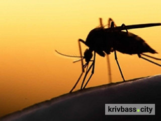 Малярія, фото ілюстративне