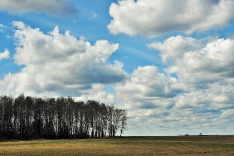 Фото ілюстративне з відкритих джерел 