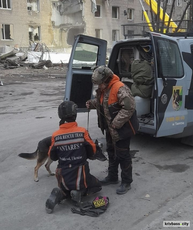 Фото пошуково - рятувального кінологічного загону "Антарєс» 