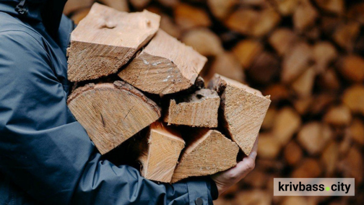 Готуємось до холодів: мешканці прифронтової Дніпропетровщини безкоштовно отримають дрова
