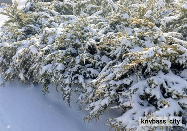 сніг у Кривому Розі, фото редакції krivbass.city