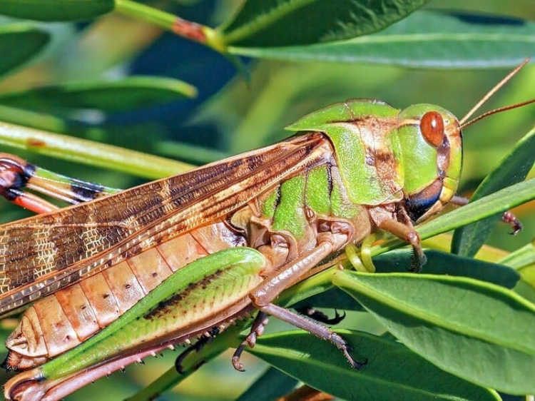 Фото з відкритих джерел 