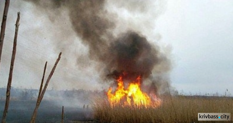 В Кривом Роге загорелся гектар сухостоя (ФОТО)