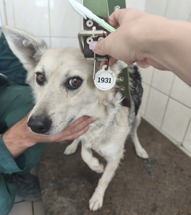 фото Центру поводження з тваринами