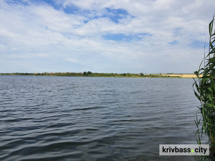 Небезпека на криворізьких пляжах: у воді виявили холерний вібріон