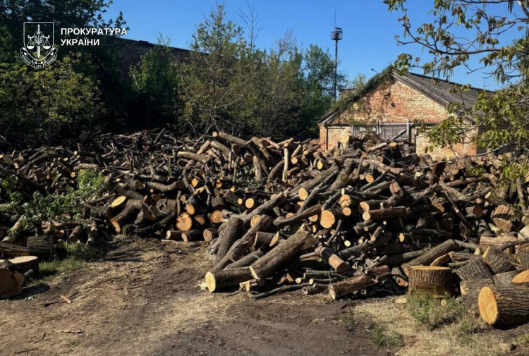 Незаконна вирубка лісу - фото Прокуратура України