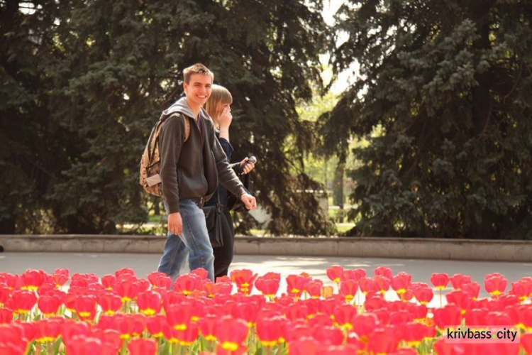 Цветущий Кривой Рог: в городе высажено 2500 кустов и 1190 деревьев