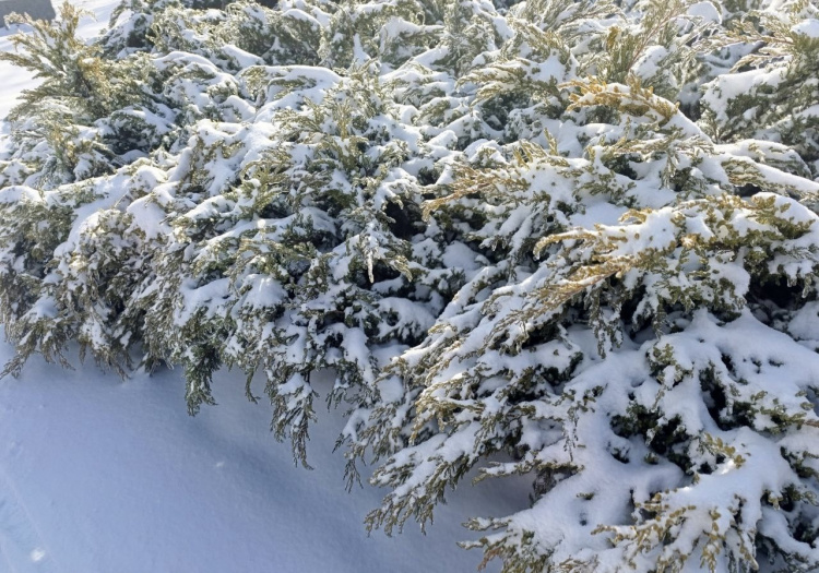 сніг у Кривому Розі, фото редакції krivbass.city