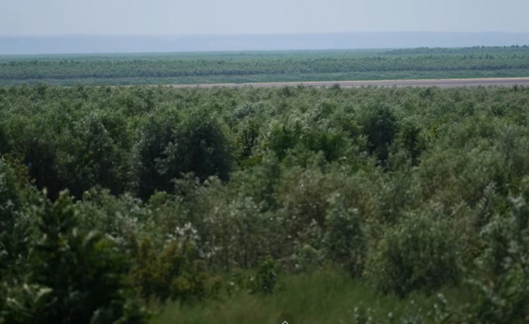 Четверте літо після підриву Каховської ГЕС: як зараз виглядає територія колишнього водосховища