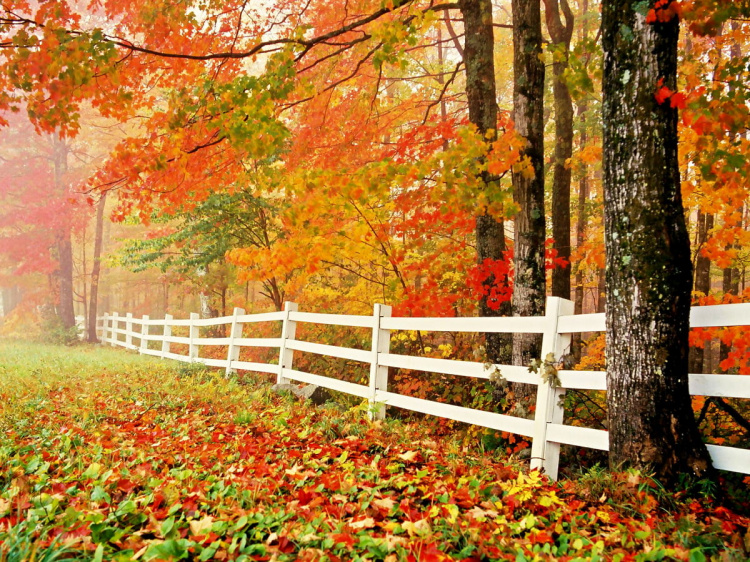 Погода на вікенд - фото ілюстративне з відкритих джерел  