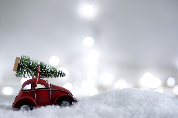 Ялинка - фото ілюстративне з відкритих джерел