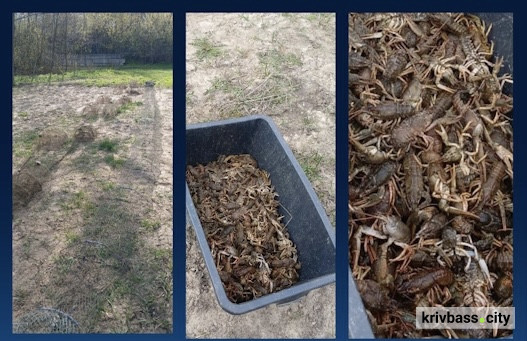 Фото Дніпропетровського рибоохоронного патрулю