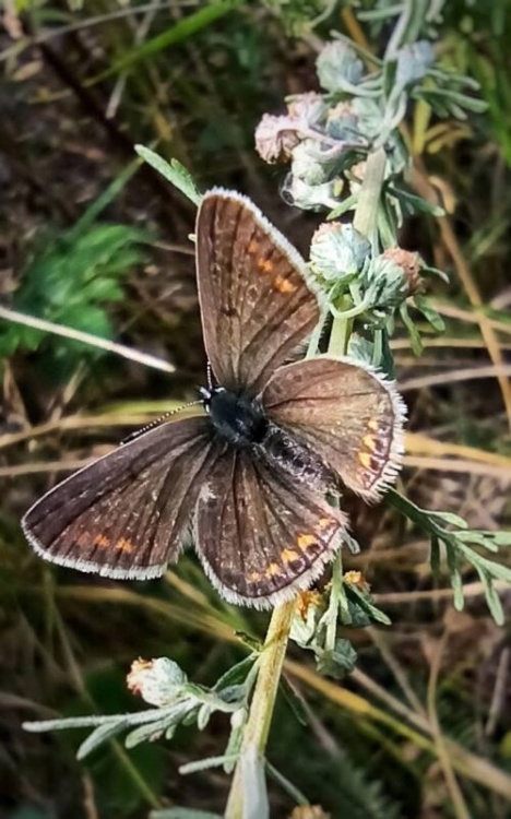  Фото Tatyana Buzilova