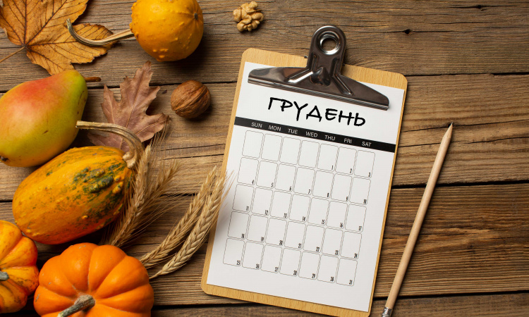 Що сіяти й робити в грудні: поради для саду та дому - фото з відкритих джерел