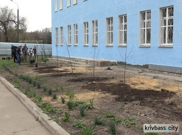 В Кривом Роге откроют центр реабилитации для бойцов АТО (ФОТО)