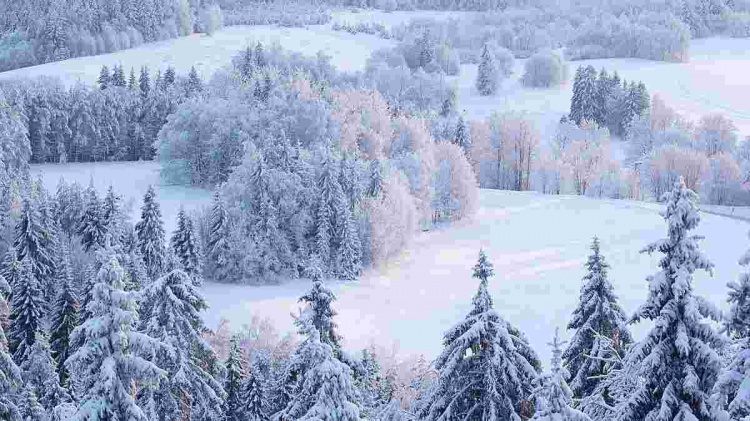 Морози до -25 °С: якою буде погода в Україні найближчими днями - фото з відкритих джерел