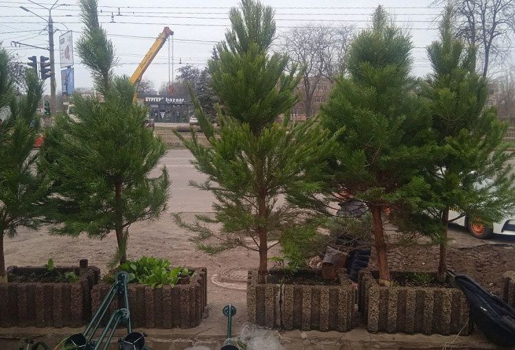 Фото krivbass.city