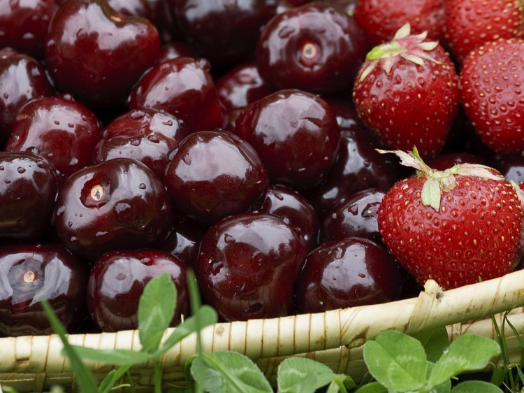 В Україні розпочався сезон полуниці та черешні: ціни на ягоди побили всі рекорди