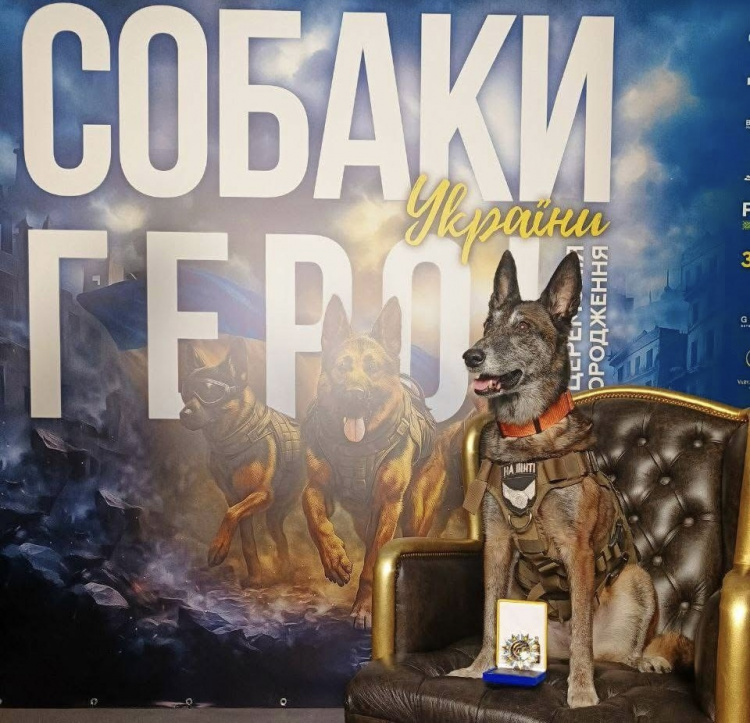 Фото Лариси Борисенко