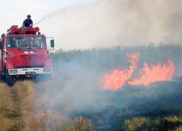 Фото з відкритих джерел 