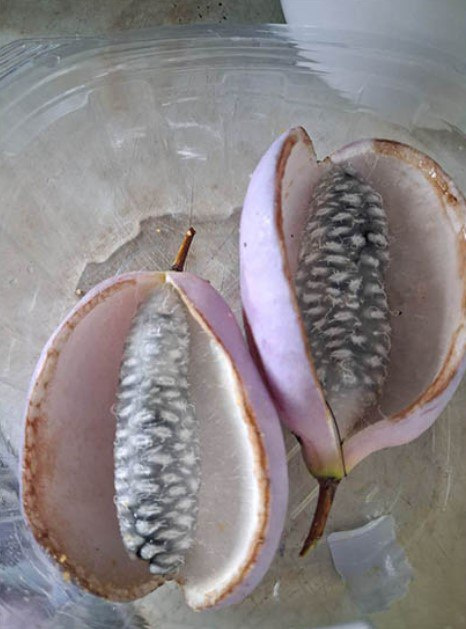 фото Вікторії Тротнер