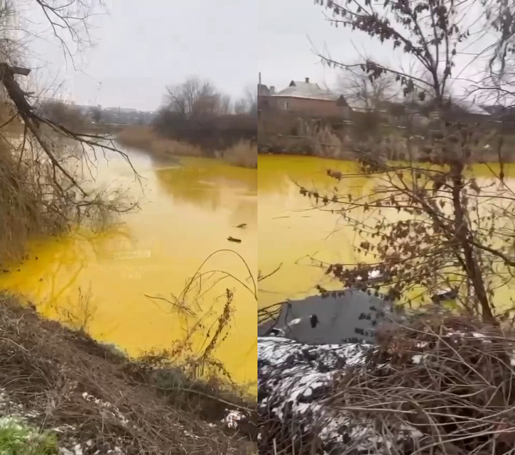 Скриншот відео