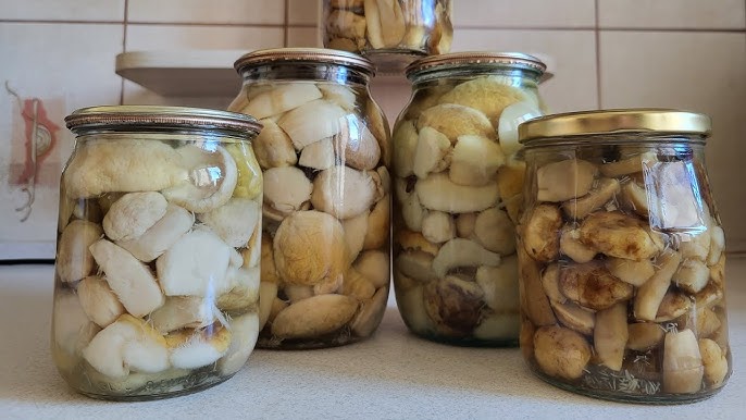 У Кривому Розі чоловік отруївся грибами: медики закликають бути обережними