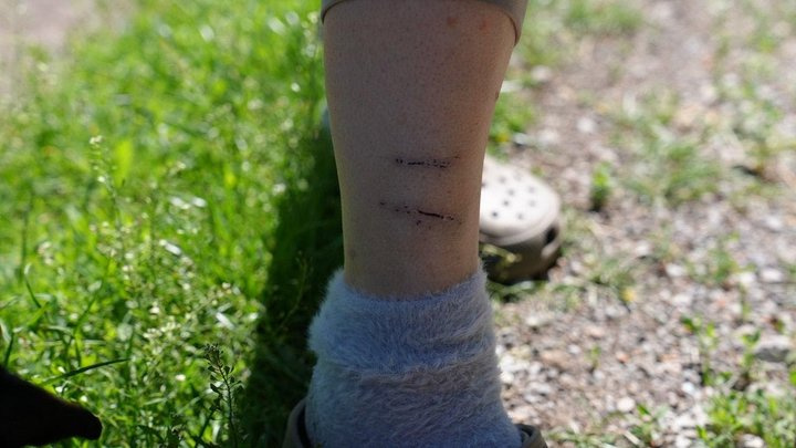 фото з відкритих джерел